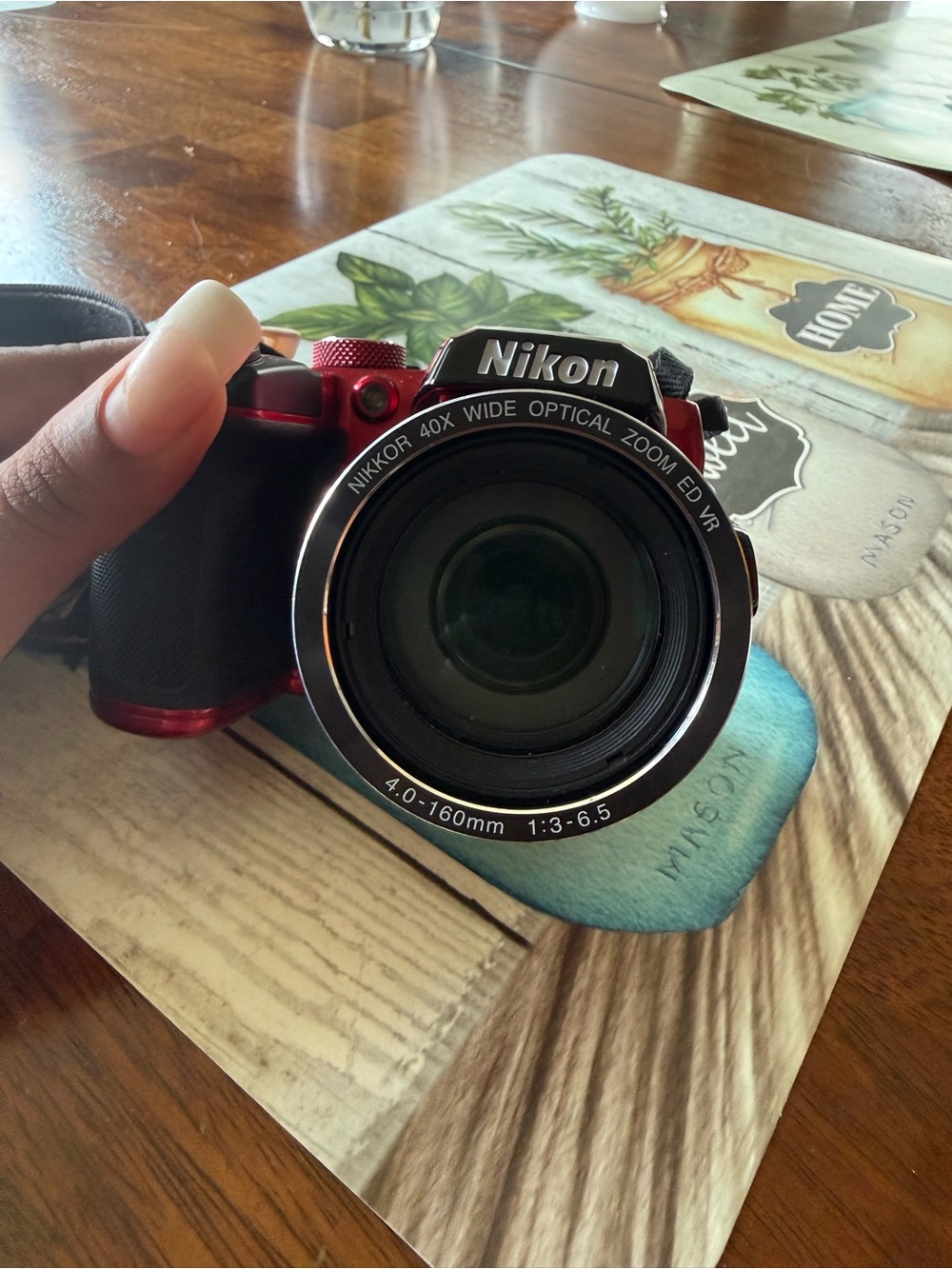 Nikon Coolpix B500